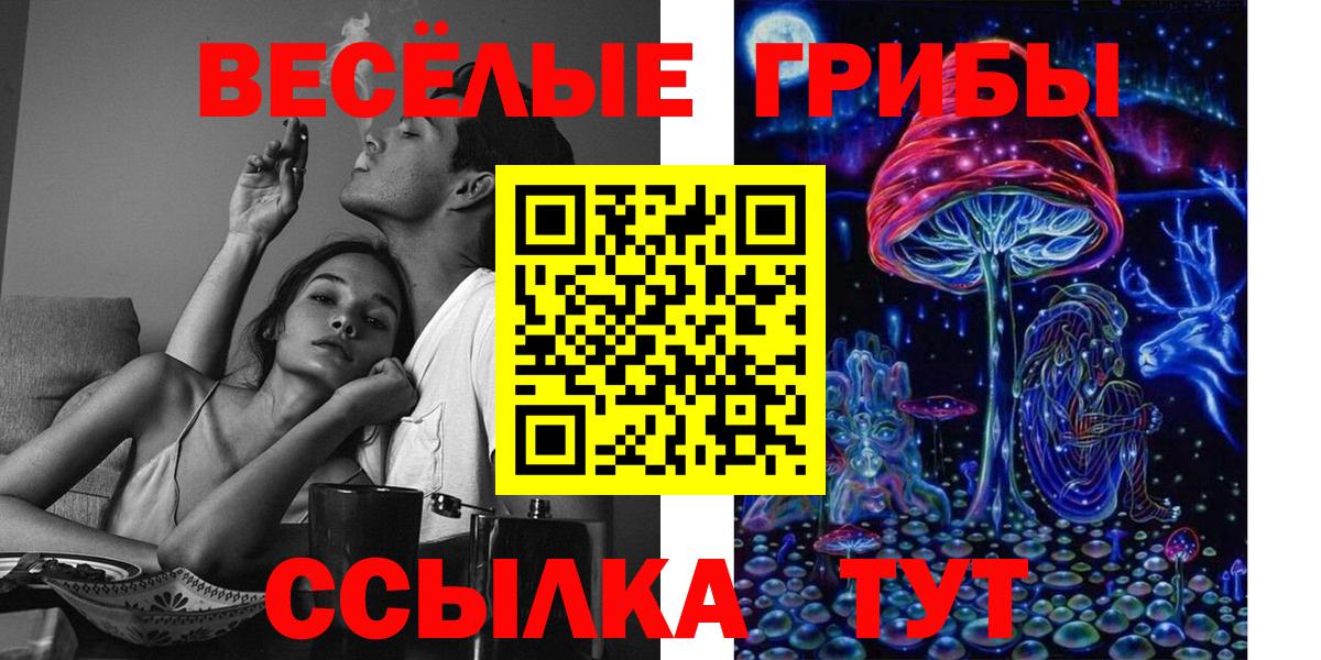 Каменск-Уральский  Галлюциногенные грибы прущие грибы  Галлюциногенные грибы Magic Shrooms  Вход с VPN 